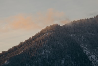 多瑙河时期的青山